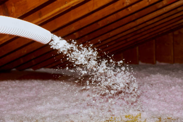 Best Geographic-Specific Insulation Services in Goulding, FL
